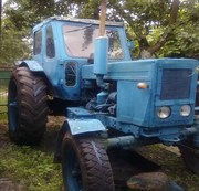 Продаю трактор МТЗ-50 1982 г.